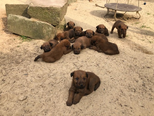 PHOTO-2018-05-31-13-05-04