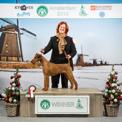 AMSTERDAM2013_800[1]