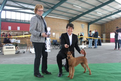 Best of Breed Reserve Best in Show Scooby-Doo Silvester von der Emsmühle Richterin: Mrs. Margret Möller-Sieber (D)  Der Endwettbewerb!