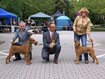 Irish Fellow Bonaparte VETERANEN KLUBSIEGER Bester Veteran 3. Platz Bester Veteran der Ausstellung Tilhaja von der Emsmühle VETERANEN KLUBSIEGERIN