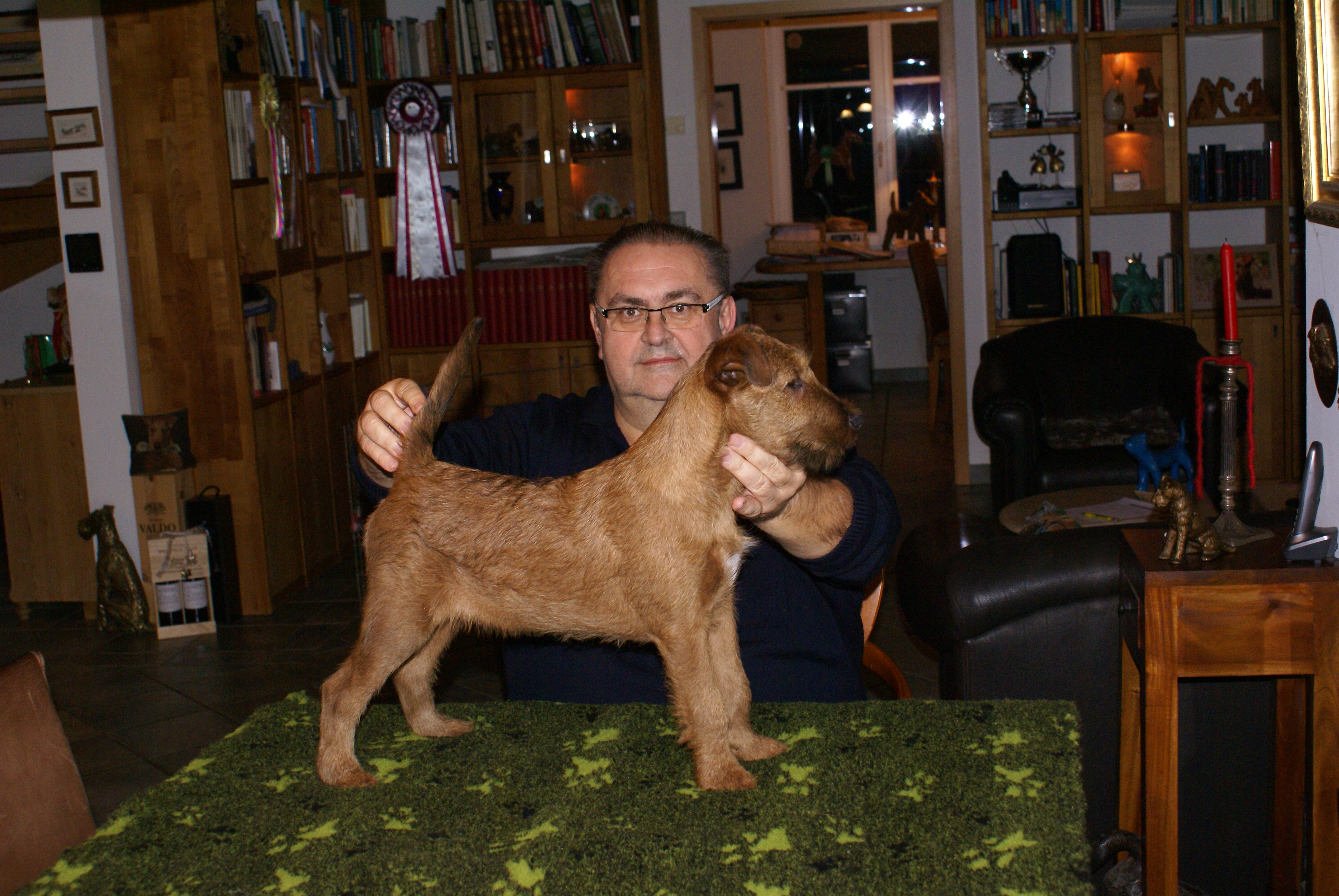 SONY DSC