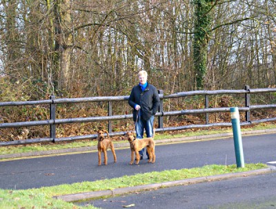 Walking the dogs!