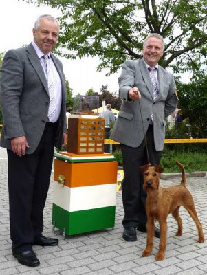 Irish Fellow Fairytale Uriel von der Emsmühle x La Palma von der Emsmühle Best of Breed Klubsiegerin gehandelt von Robert Hache, Foto: P. Röder-Hache