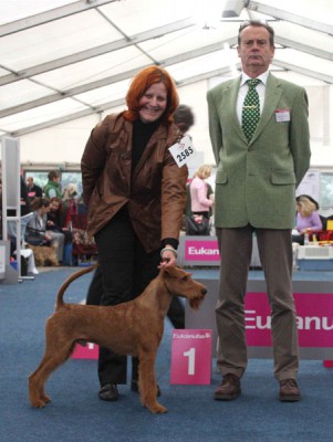 Maximo von der Emsmühle gehandelt von Karina Grüttner Foto: C. Bornhausen
