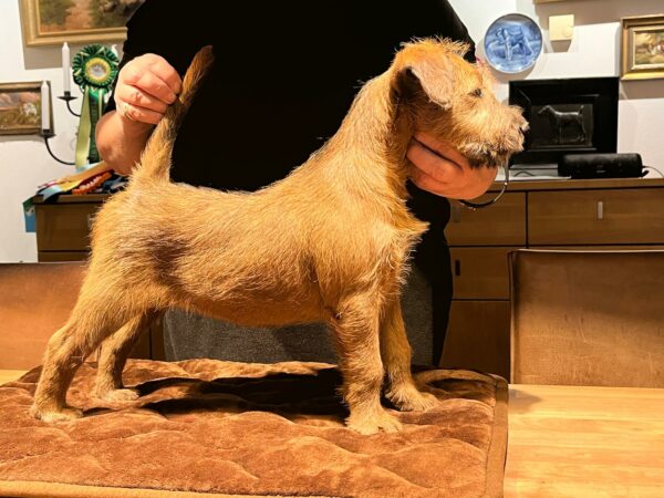 PHOTO-2025-01-21-20-41-35