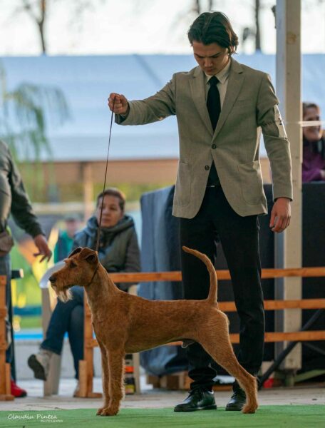 Ulysses von der Emsmühle