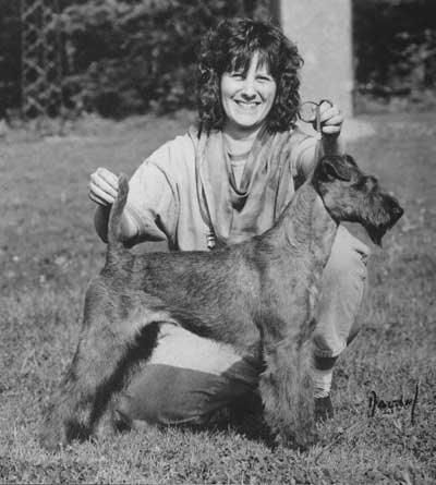 Ch. Giorgina von der Emsmühle Ch. Giorgina von der Emsmühle