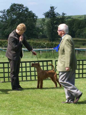 Darren von der Emsmühle (Viscount von der Emsmühle x Utopia von der Emsmühle) ResDogCC handled by: Sascha Rüh